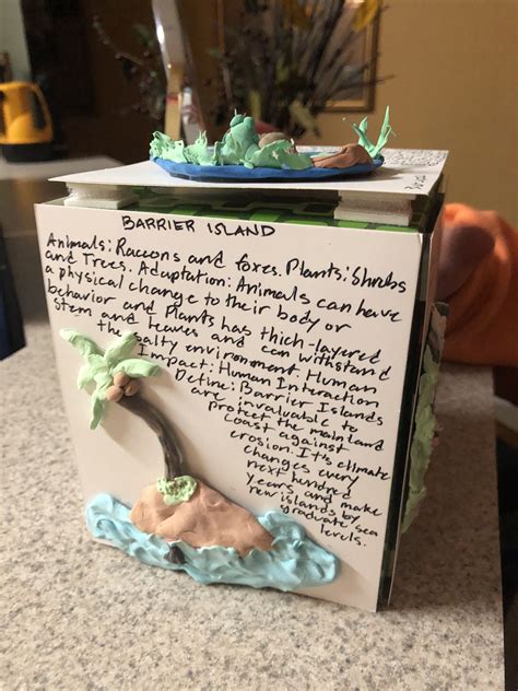 Image result for Tissue Box Project