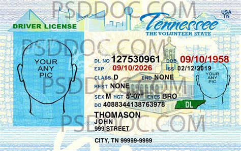 USA Tennessee Driver License front back sides - PSD Store