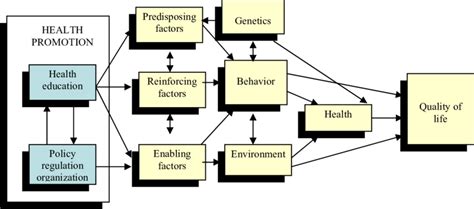 Image result for Proceed vs Precede Model Health Program