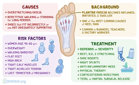 Plantar Fasciitis Heel Pain Online | bellvalefarms.com