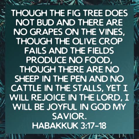 Verse of the day: Habakkuk 3:17-18 - Godly woman 911