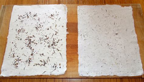 Image result for Seed Papermaking Using Tissues