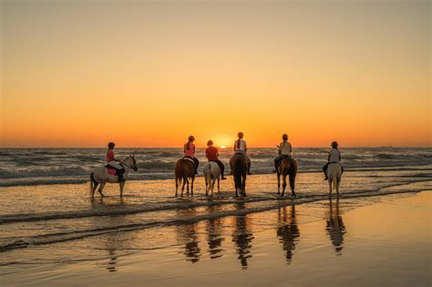 Horse Riding On The Beach Sunset