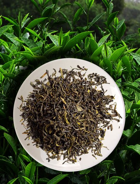 Jasmine Green Tea – Organic Life Teas