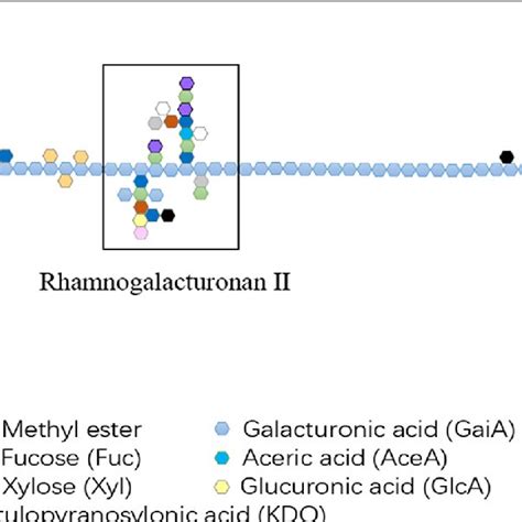 Image result for Pectin Structure