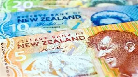 疫情中用信用卡的新西兰人更少了 | BNPL | VISA | MasterCard | 大纪元
