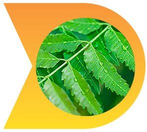 Sugo Plus - Manage Your Blood Sugar Safely & Naturally!