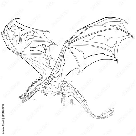 Image result for Static Image Python