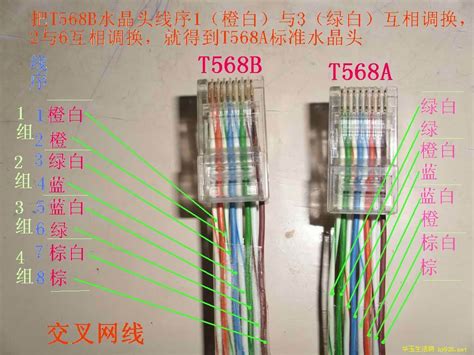 568A标准或568B标准网线、百兆网线、交叉网线水晶头接法_瑞达网,华玉生活