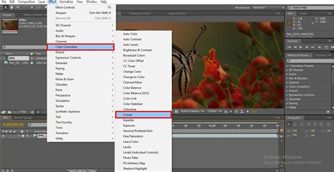 Image result for After Effects Color Grading