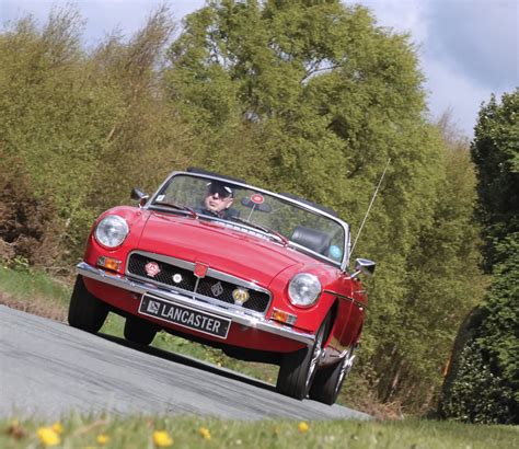 Multi-Vehicle Insurance 的图像结果