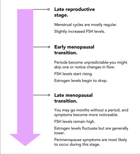 Understanding Perimenopause: Signs & Shifts – Ticking Biology