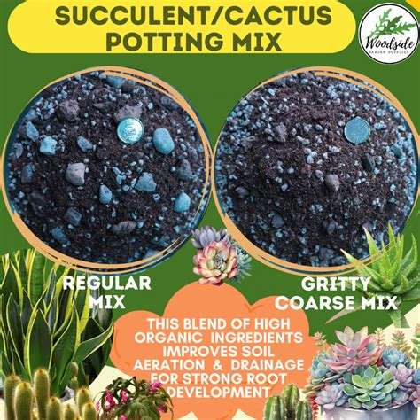 Succulent/Cactus Potting Mix Soil Less Premium Quality Mix enriched ...