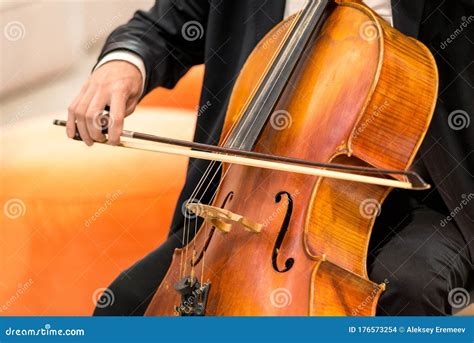 Image result for Viola String Instrument