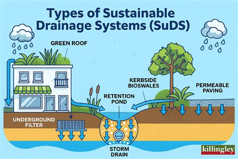What Are Sustainable Drainage Systems (SuDS)? Flood Protection Explained