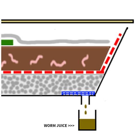 Worm Farm Close Up 的图像结果