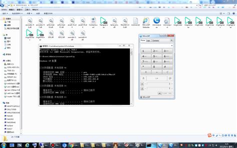 Microsip Tutorial 的图像结果