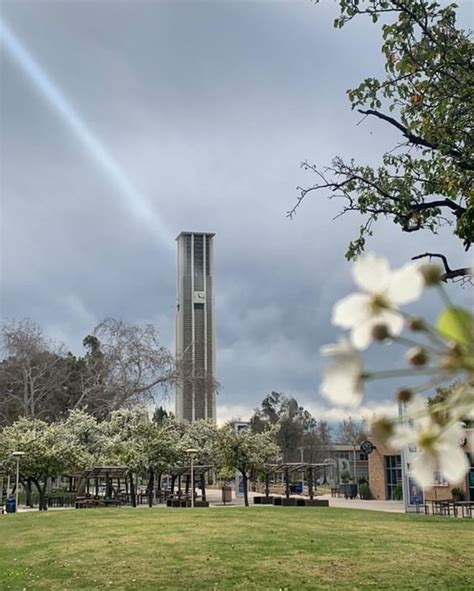#ucr #ucriverside | University of California, Riverside