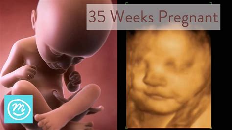 35 weeks gestation - hiccups pregnancy