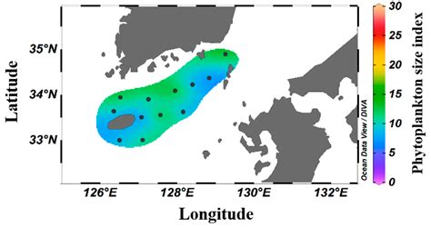 Impact of Phytoplankton Community Structure Changes in the South Sea of ...