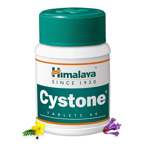 Himalaya Cystone Tablets – AYUSH Upchar