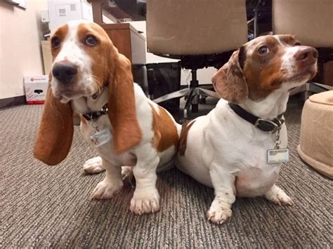 RumbleOn Office Photos