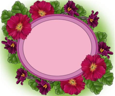 Primrose Clip Art Illustrations, Royalty-Free Vector Graphics & Clip ...