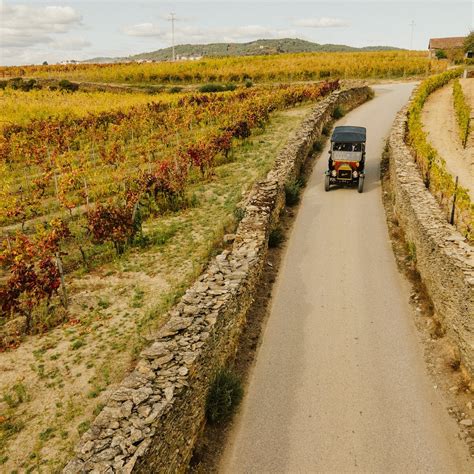 QUINTA DA AVESSADA - ENOTECA DOURO (2025) All You Need to Know BEFORE ...