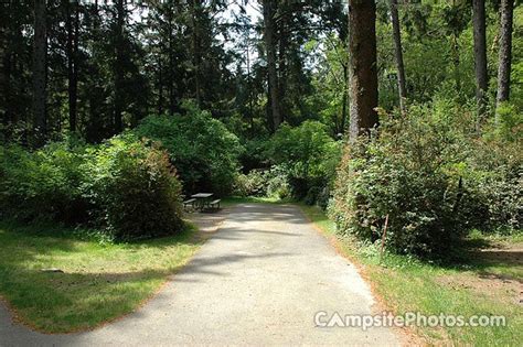 Stevens Creek Campground Colorado: Camping Reservations & Amenities