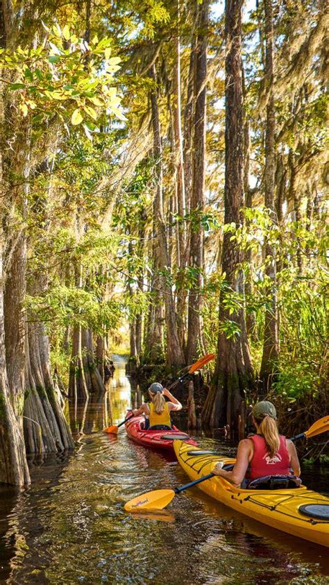 FAQ in Golden Isles | Weather, Beaches & Pet-Friendly Places