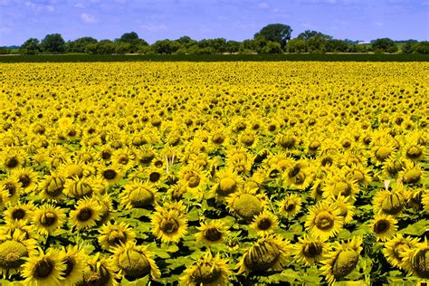 Image result for Open Note Quiz