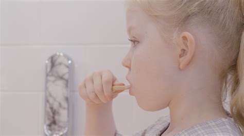 Image result for Toothpaste Dispenser DIY