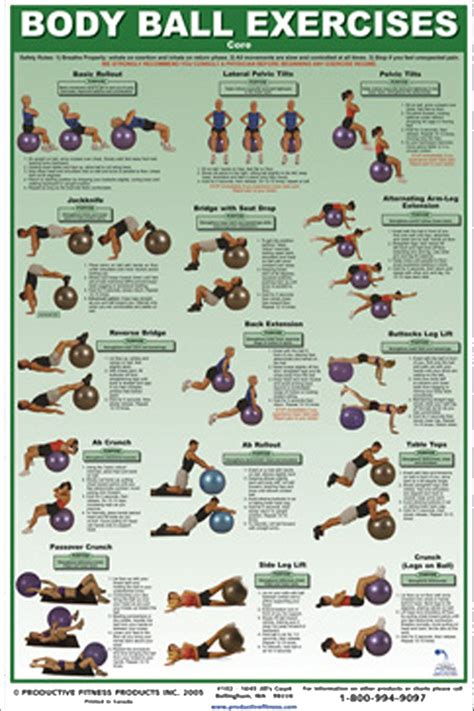 Image result for Stability Ball Workouts