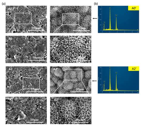 Effects of ATP on the Physicochemical Properties and Cytocompatibility ...