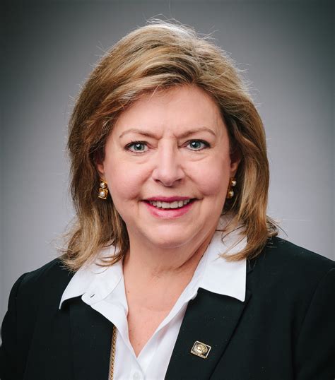 Our Company – Georgia Transmission