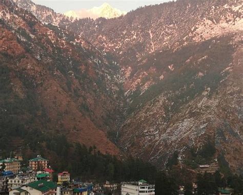 WHITE WATER INN MCLEODGANJ (McLeod Ganj, India - Himachal Pradesh ...