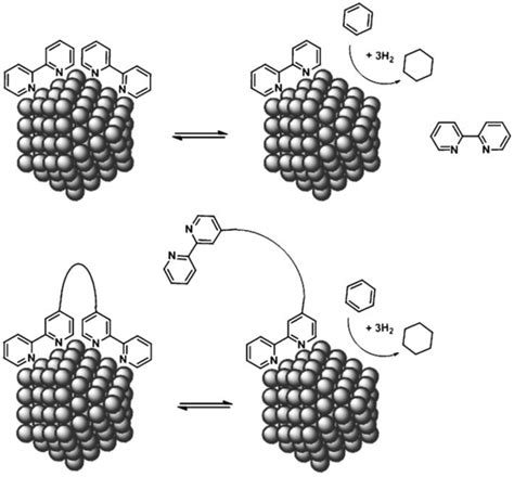 Towards Rational Design of Nanoparticle Catalysis in Ionic Liquids
