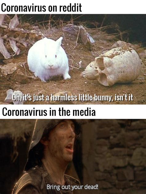 Python Rabbit 的图像结果