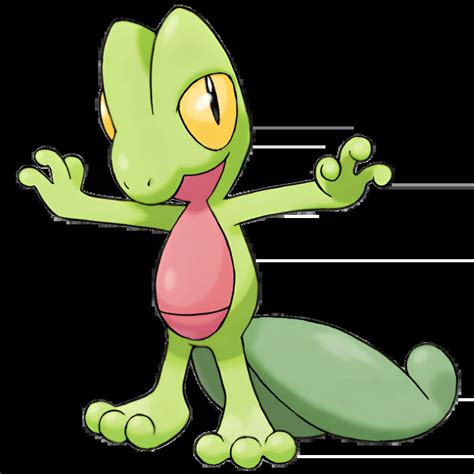 Image result for Pokemon Treecko Evolution