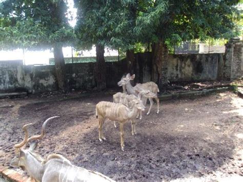 Dehiwala Zoo, colombo, Sri Lanka - Top Attractions, Things to Do ...