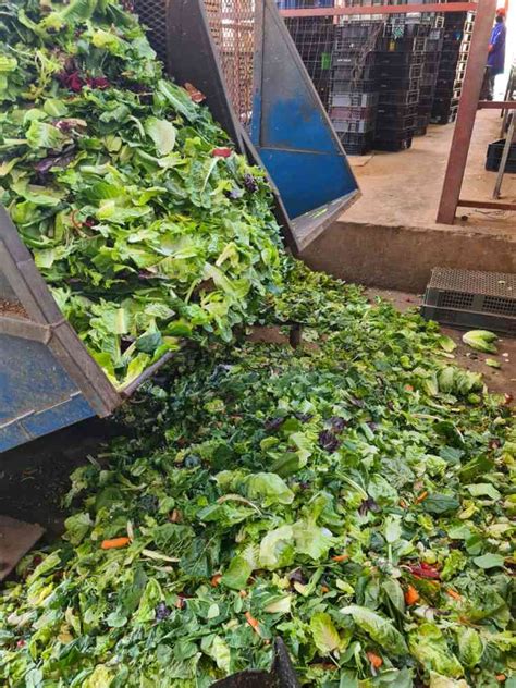 Image result for How Is Food Disposed