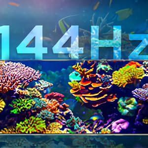 Motorola Edge 40 5G (Nebula Green, 8GB RAM, 256GB Storage) : Amazon.in ...