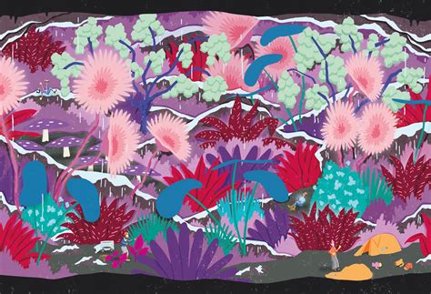 Basic Drawing Process 的图像结果