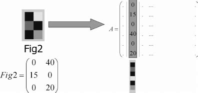 Image result for Document Matrix Example