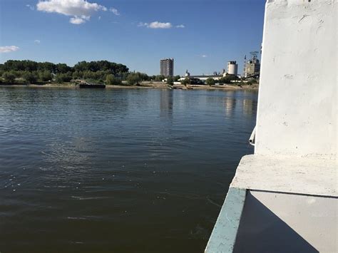 POTCOAVA DUNARII (Suhaia) - Guesthouse Reviews, Photos, Rate Comparison ...