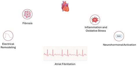 Can Stress Cause Afib