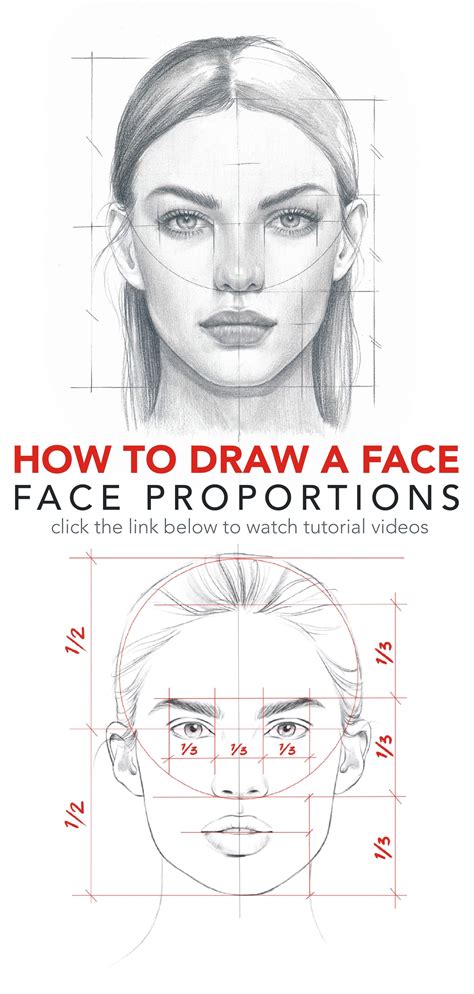Drawing Faces In Proportion