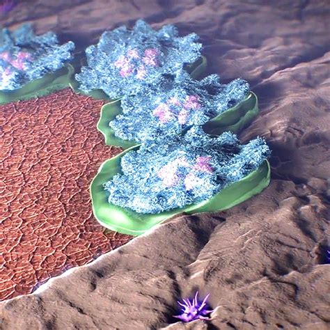 Bone Animation Programm 的图像结果