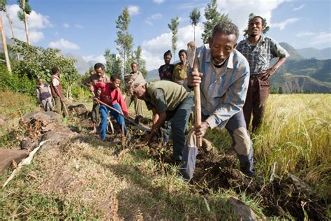 Local Development Works 的图像结果