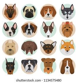 Image result for Different Types of Dogs